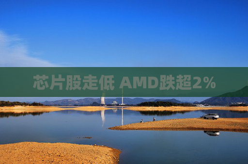 芯片股走低 AMD跌超2%  第1张