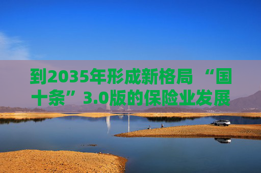 到2035年形成新格局 “国十条”3.0版的保险业发展线路图来了  第1张