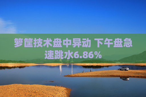 箩筐技术盘中异动 下午盘急速跳水6.86%  第1张