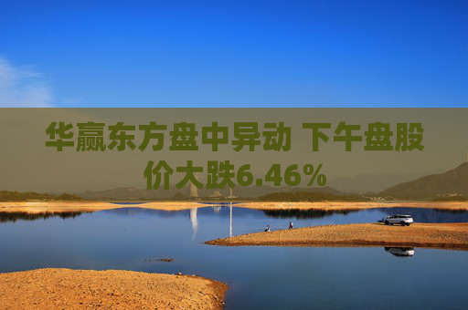 华赢东方盘中异动 下午盘股价大跌6.46%