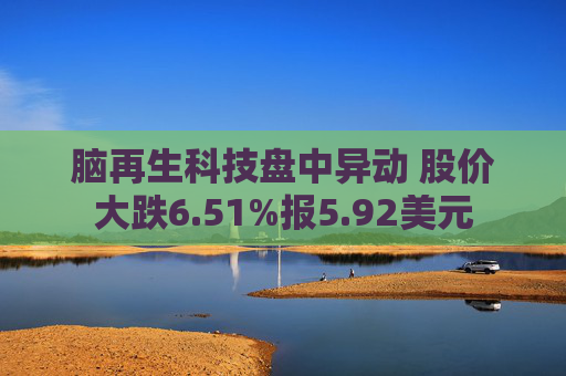 脑再生科技盘中异动 股价大跌6.51%报5.92美元  第1张