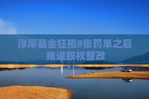 淳厚基金狂揽8张罚单之后 推进股权整改