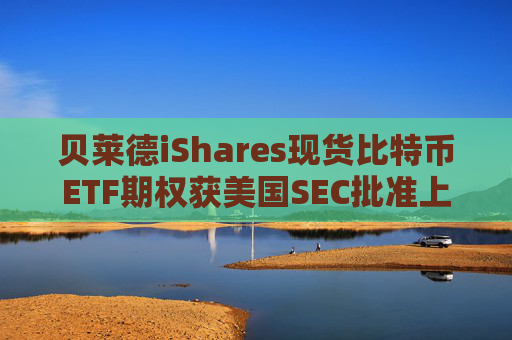 贝莱德iShares现货比特币ETF期权获美国SEC批准上市