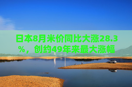 日本8月米价同比大涨28.3%，创约49年来最大涨幅  第1张