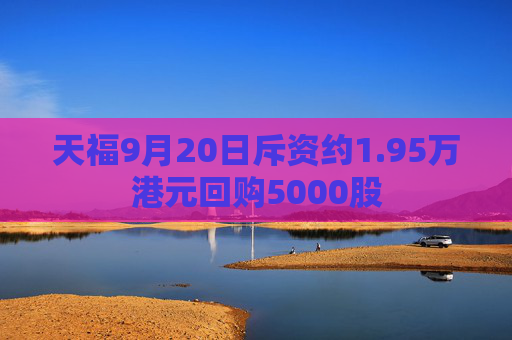 天福9月20日斥资约1.95万港元回购5000股  第1张