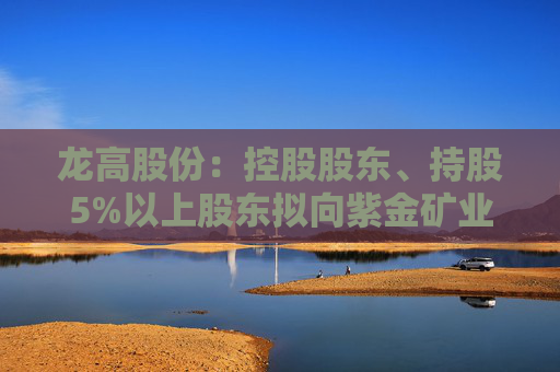 龙高股份：控股股东、持股5%以上股东拟向紫金矿业转让部分股份  第1张