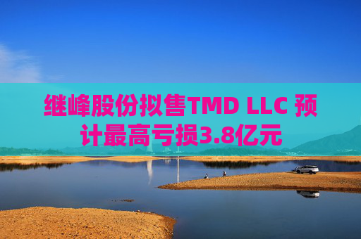 继峰股份拟售TMD LLC 预计最高亏损3.8亿元  第1张