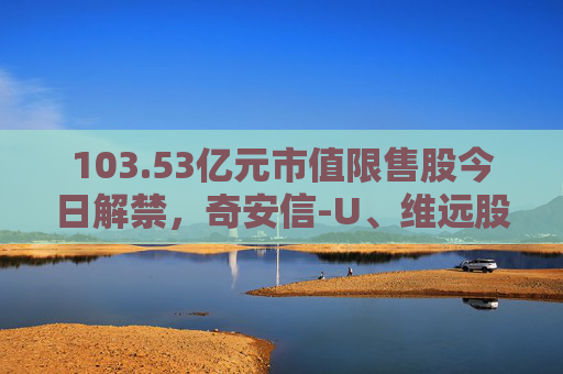 103.53亿元市值限售股今日解禁，奇安信-U、维远股份、飞南资源解禁市值居前