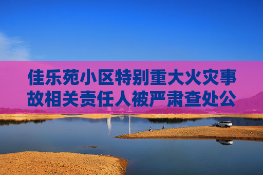 佳乐苑小区特别重大火灾事故相关责任人被严肃查处公安机关对10名涉案人员立案侦查纪检监察机关严肃问责55名公职人员