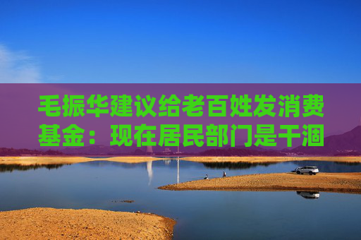 毛振华建议给老百姓发消费基金：现在居民部门是干涸的，要大水漫灌  第1张