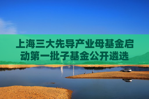 上海三大先导产业母基金启动第一批子基金公开遴选  第1张