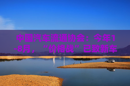 中国汽车流通协会：今年1-8月，“价格战”已致新车市场整体零售累计损失1380亿元  第1张