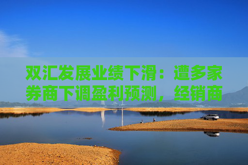 双汇发展业绩下滑：遭多家券商下调盈利预测，经销商减少455家