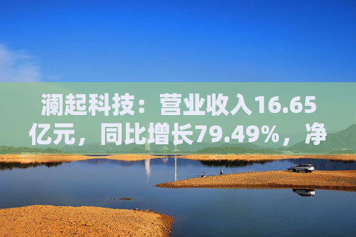 澜起科技：营业收入16.65亿元，同比增长79.49%，净利润5.93亿元  第1张