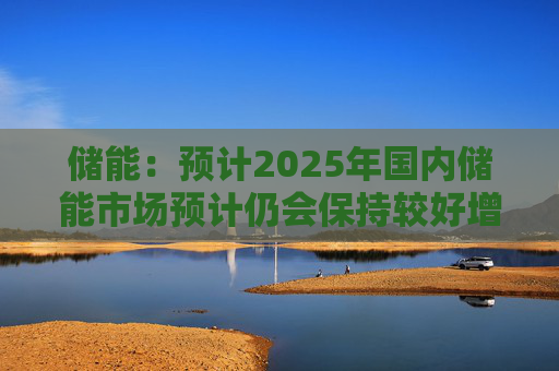 储能：预计2025年国内储能市场预计仍会保持较好增速  第1张