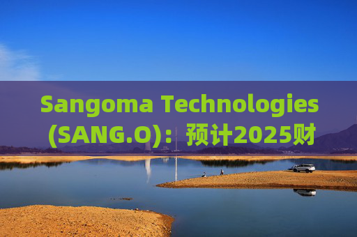 Sangoma Technologies (SANG.O)：预计2025财年收入在2.5亿至2.6亿美元之间