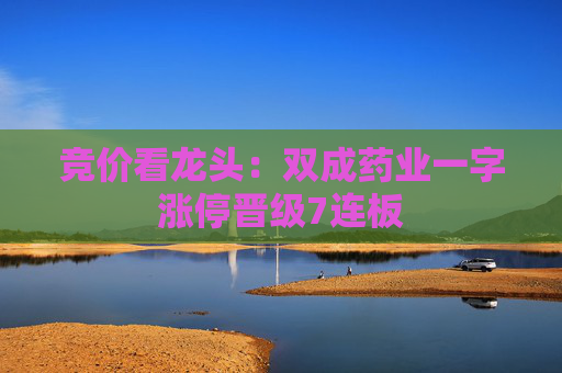 竞价看龙头：双成药业一字涨停晋级7连板