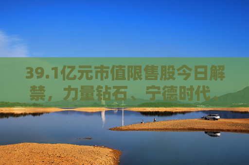 39.1亿元市值限售股今日解禁，力量钻石、宁德时代、海锅股份解禁市值居前  第1张