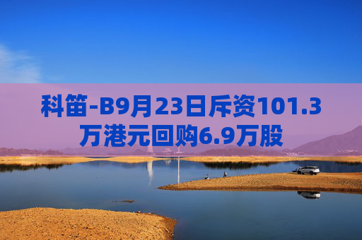 科笛-B9月23日斥资101.3万港元回购6.9万股  第1张