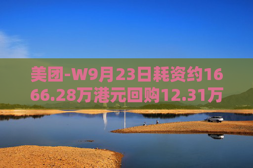 美团-W9月23日耗资约1666.28万港元回购12.31万股  第1张