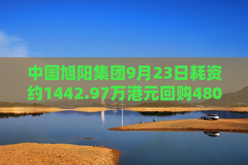 中国旭阳集团9月23日耗资约1442.97万港元回购480万股  第1张