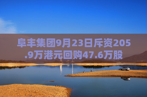 阜丰集团9月23日斥资205.9万港元回购47.6万股