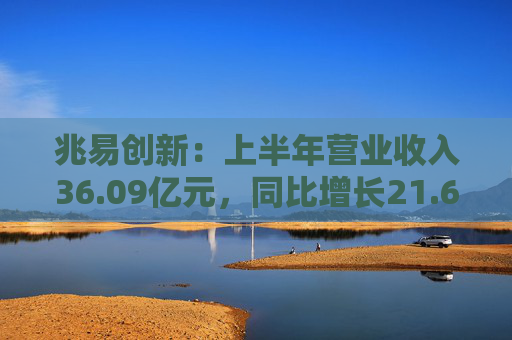 兆易创新：上半年营业收入36.09亿元，同比增长21.69%  第1张