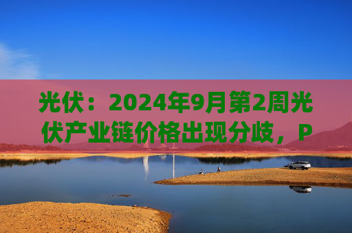 光伏：2024年9月第2周光伏产业链价格出现分歧，Pv_InfoLink周度报价数月以来首次全线止跌  第1张