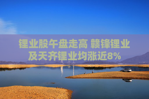 锂业股午盘走高 赣锋锂业及天齐锂业均涨近8%