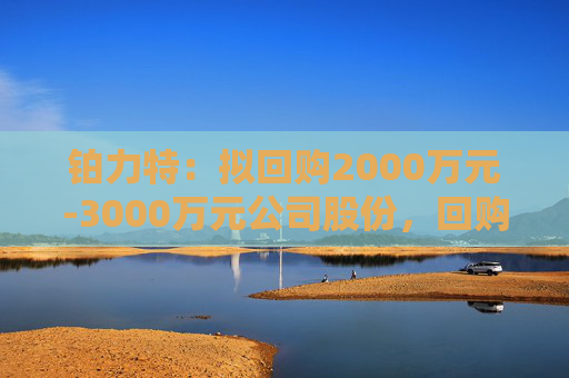 铂力特：拟回购2000万元-3000万元公司股份，回购价不超65.34元/股  第1张