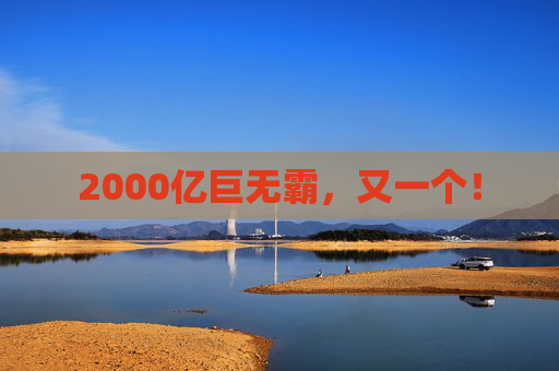 2000亿巨无霸，又一个！