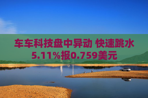 车车科技盘中异动 快速跳水5.11%报0.759美元  第1张