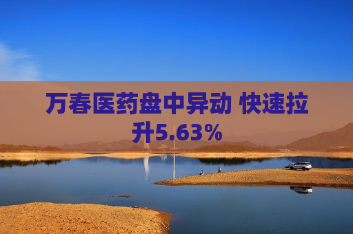 万春医药盘中异动 快速拉升5.63%