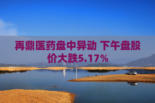 再鼎医药盘中异动 下午盘股价大跌5.17%