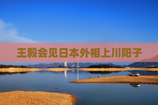 王毅会见日本外相上川阳子  第1张