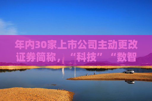 年内30家上市公司主动更改证券简称，“科技”“数智”等关键词折射转型趋势  第1张