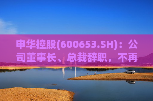 申华控股(600653.SH)：公司董事长、总裁辞职，不再担任公司任何职务  第1张