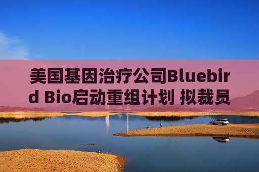 美国基因治疗公司Bluebird Bio启动重组计划 拟裁员25%