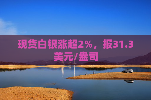 现货白银涨超2%，报31.3美元/盎司