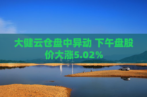 大健云仓盘中异动 下午盘股价大涨5.02%