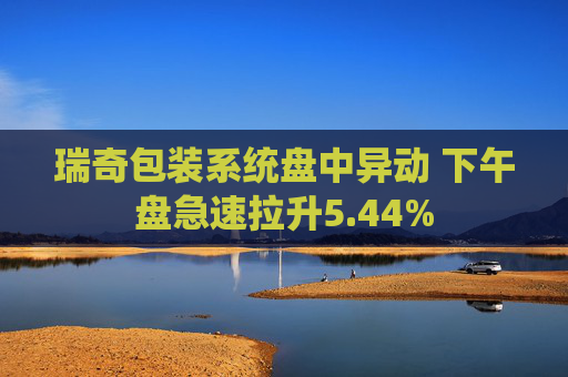 瑞奇包装系统盘中异动 下午盘急速拉升5.44%