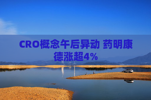 CRO概念午后异动 药明康德涨超4%