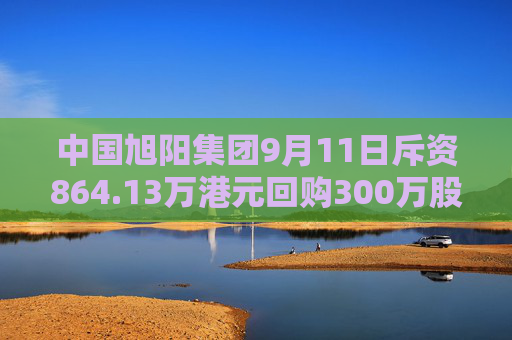 中国旭阳集团9月11日斥资864.13万港元回购300万股