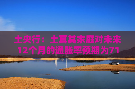 土央行：土耳其家庭对未来12个月的通胀率预期为71.6%