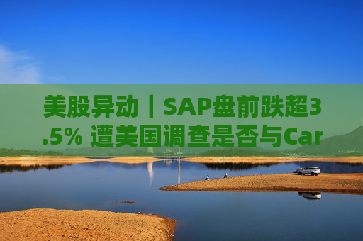 美股异动｜SAP盘前跌超3.5% 遭美国调查是否与Carahsoft同谋向政府机构收取过高费用  第1张