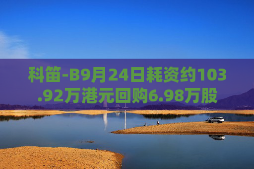 科笛-B9月24日耗资约103.92万港元回购6.98万股  第1张