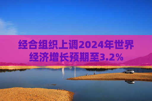 经合组织上调2024年世界经济增长预期至3.2%  第1张