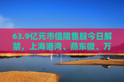 63.9亿元市值限售股今日解禁，上海港湾、燕东微、万事利解禁市值居前  第1张