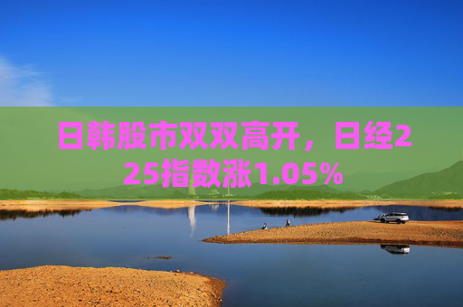 日韩股市双双高开，日经225指数涨1.05%