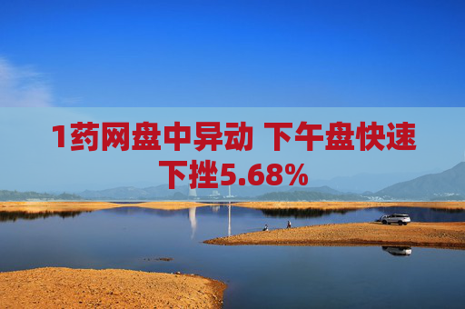 1药网盘中异动 下午盘快速下挫5.68%